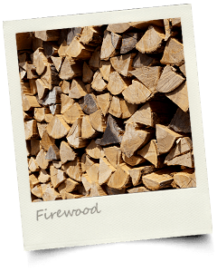 Firewood -薪-